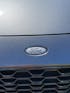 "Oval" Ford Gel Badge Overlays - Mk2 Puma