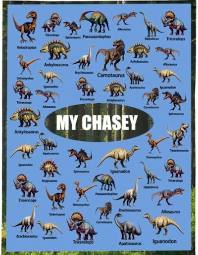 Personalized Dinosaur Adventure Blanket - Customize Your Name