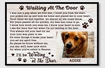 Waiting At The Door - Personalized Pet Portrait Canvas / Poster