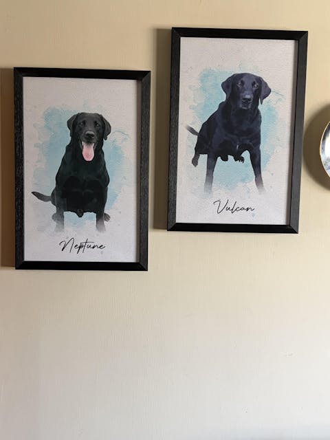 Watercolor Pet From Photo - Personalized Customized Canvas / Poster