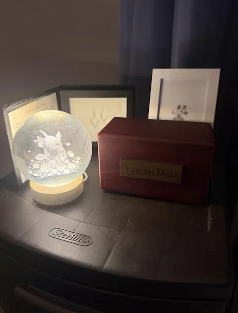 Custom Pet Portrait Crystal Ball LED Night Light - Personalized Memorial Gift for Pet Lovers