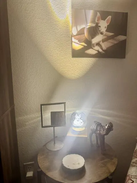 Custom Pet Portrait Crystal Ball LED Night Light - Personalized Memorial Gift for Pet Lovers