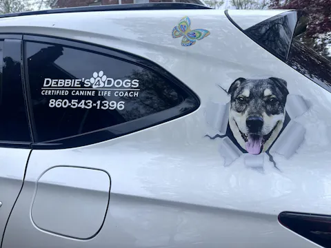 Personalized Peeking Pets Sticker- Gift For Pet Lovers