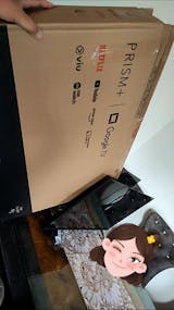 User picture