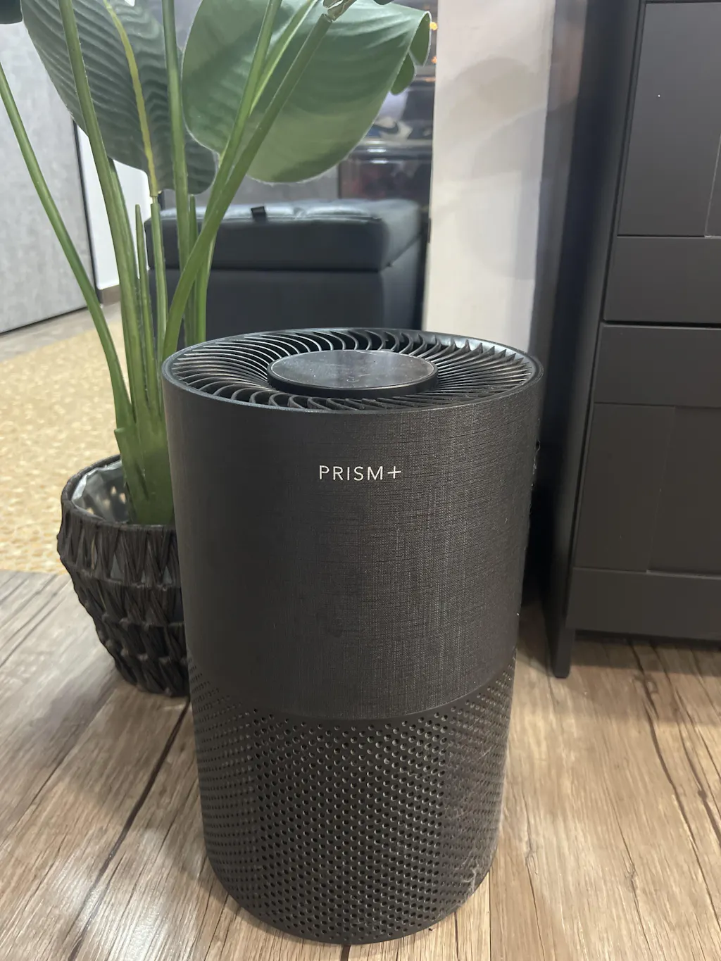 Vortex Replacement Filter