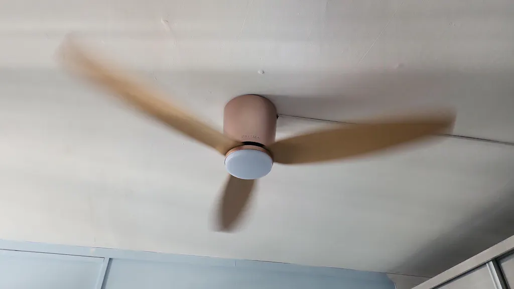 PRISM+ Oasis Pro Curve - 3 Blades - Hugger Standard NRGB