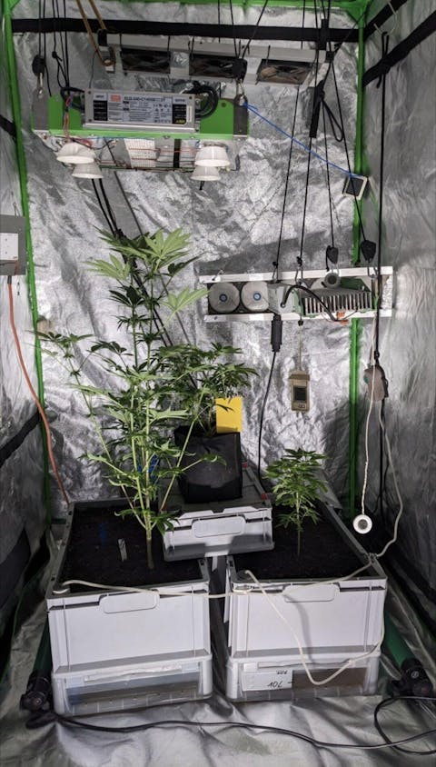 Samsung Osram SMD-Board 66x110mm