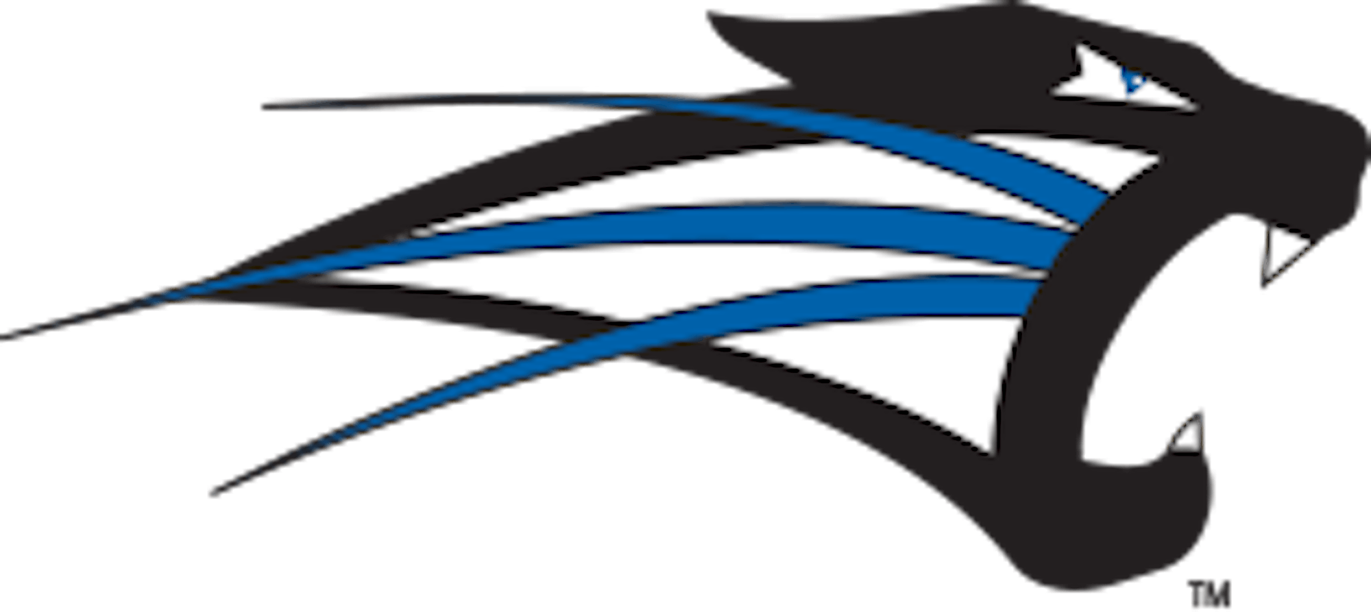 Tandem Sports Velcro Volleyball Net Tension Straps