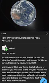 User picture