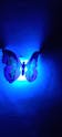 LED Light - Butterfly - Single Piece
