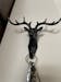 Hook - Deer - Single Piece