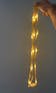 Shoe Lace - LED