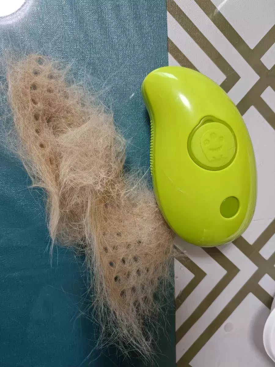 ProPterPets™ Steamy Brush