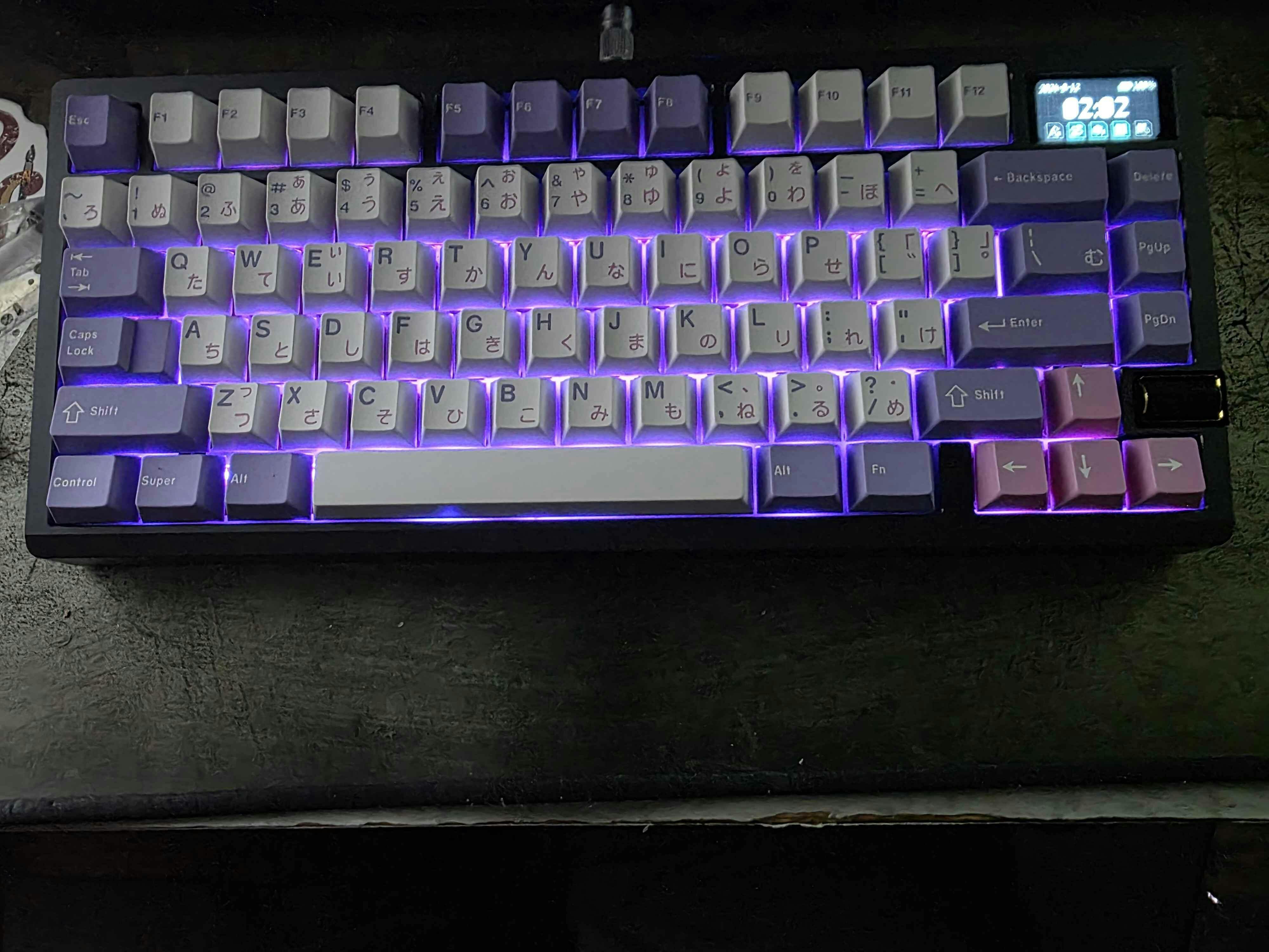 In Stock) JTK Hanami BBox60