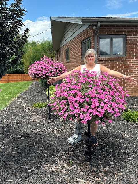 Supertunia Vista® Bubblegum® Petunia