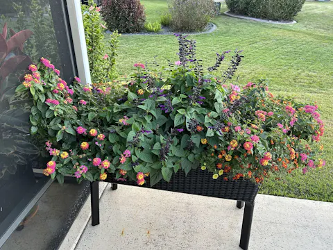 Continuous Release Fertilizer, 2.5 lb.