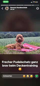 User picture