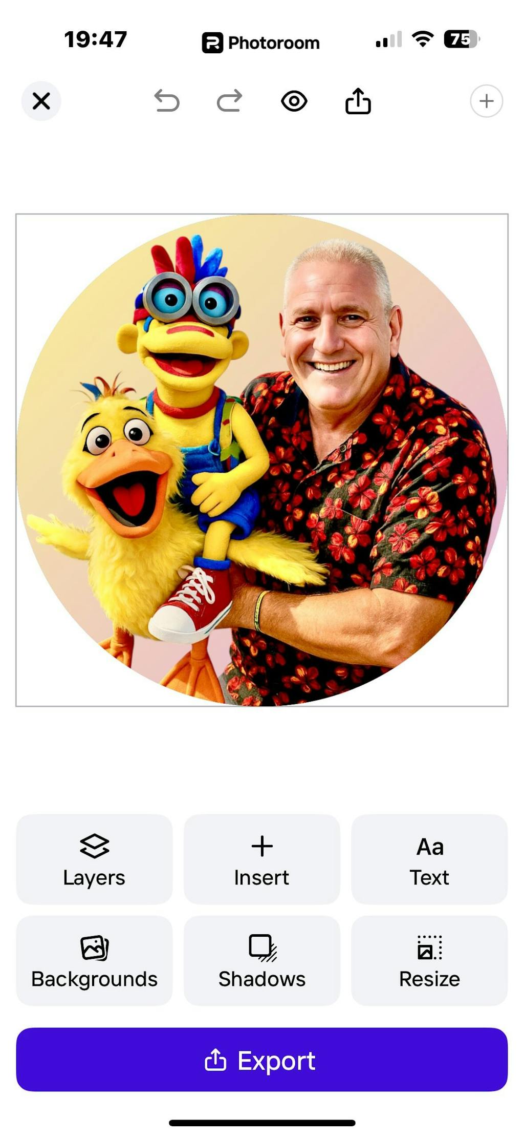 Extendable Arm Rod Set – Puppet Control Rods