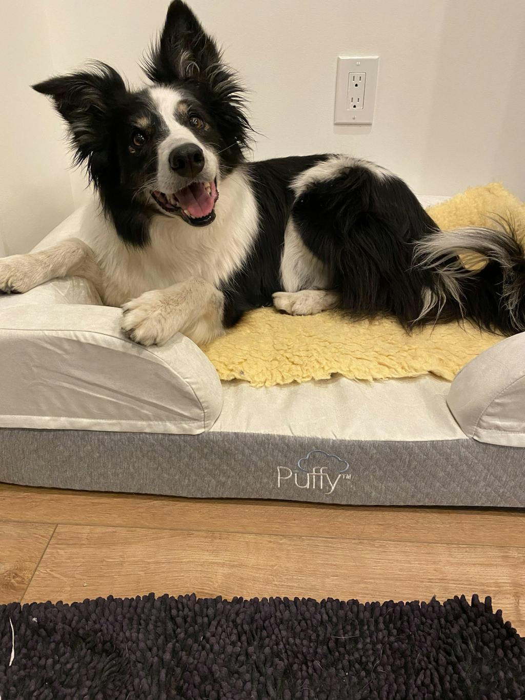 Memory Foam Dog Beds for Small, Medium, & Large Dogs Puffy