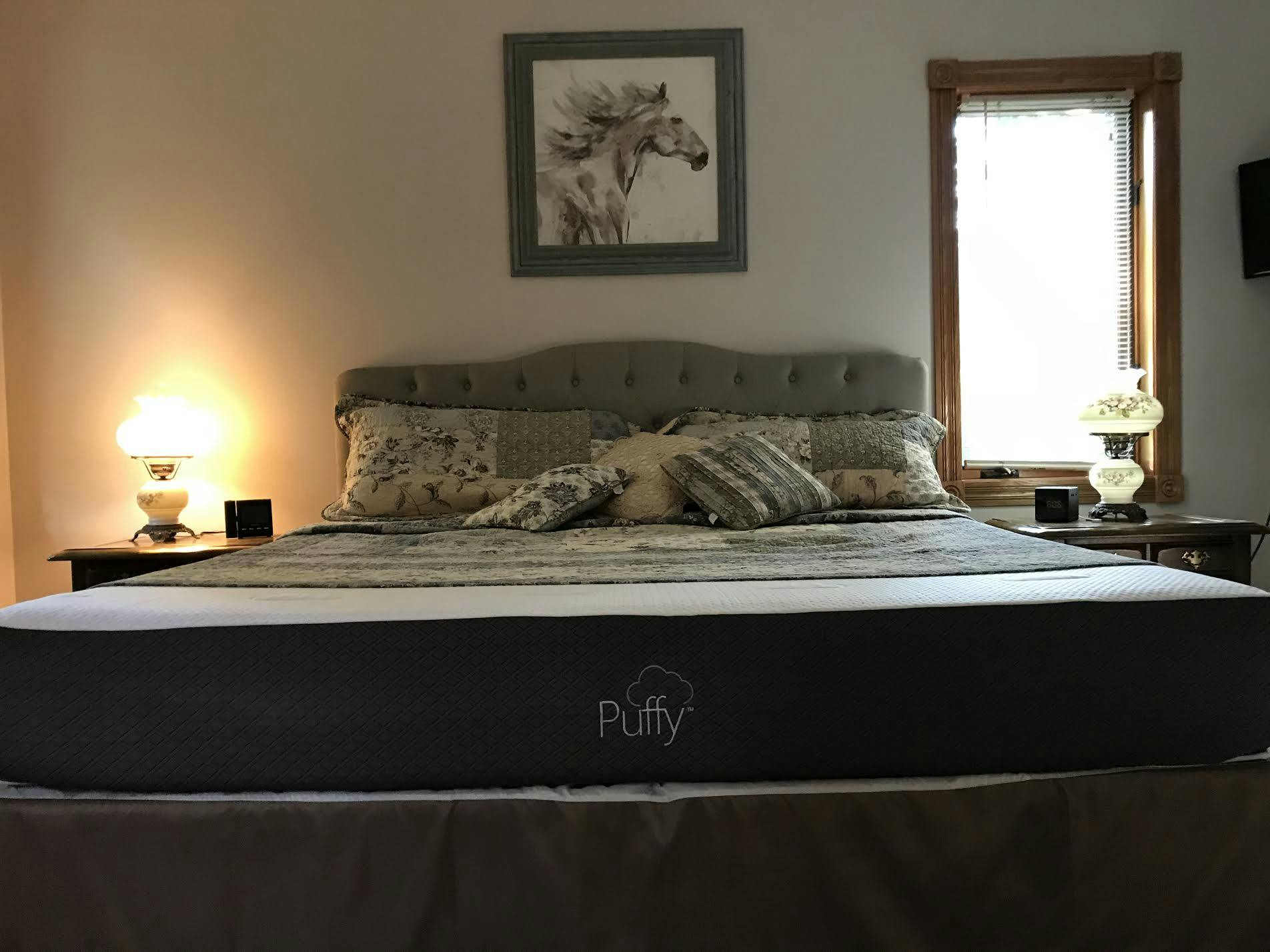 Shop Puffy Mattress