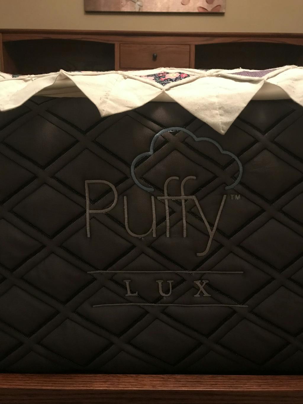 Shop Puffy Mattress