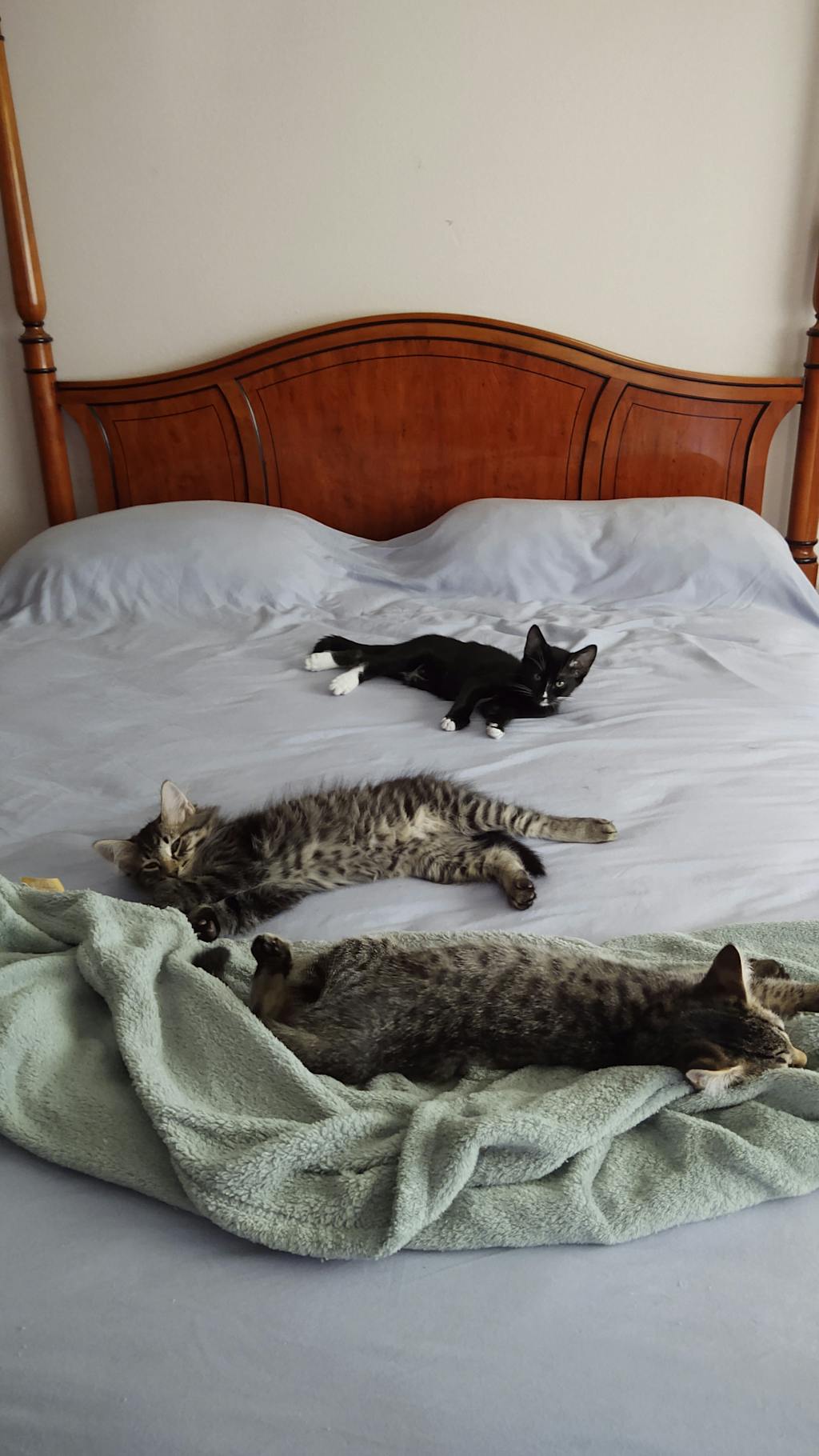 Puffy Mattress Foundation Puffy Mattress