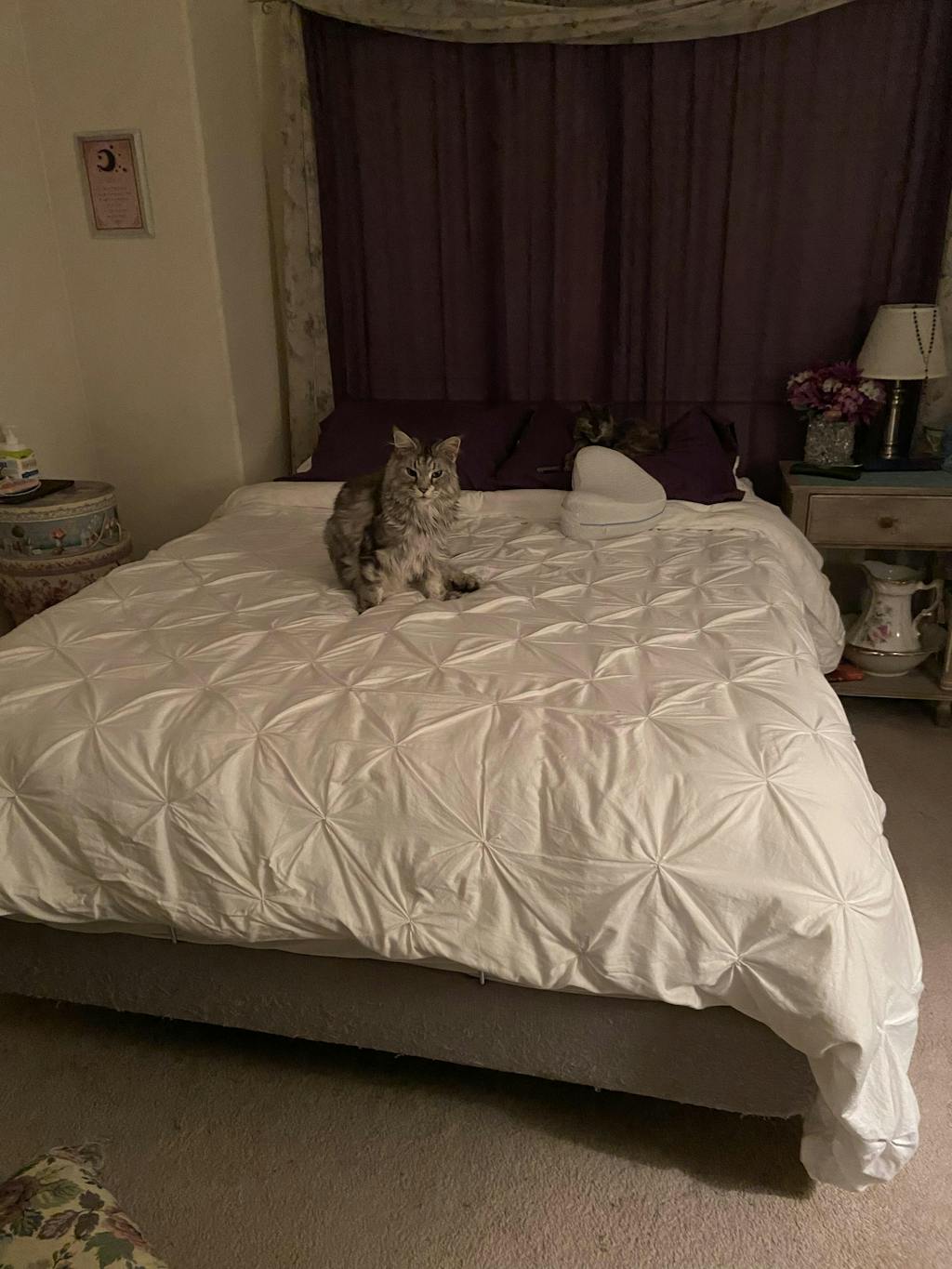 Puffy Lux Hybrid AwardWinning Memory Foam Mattresses