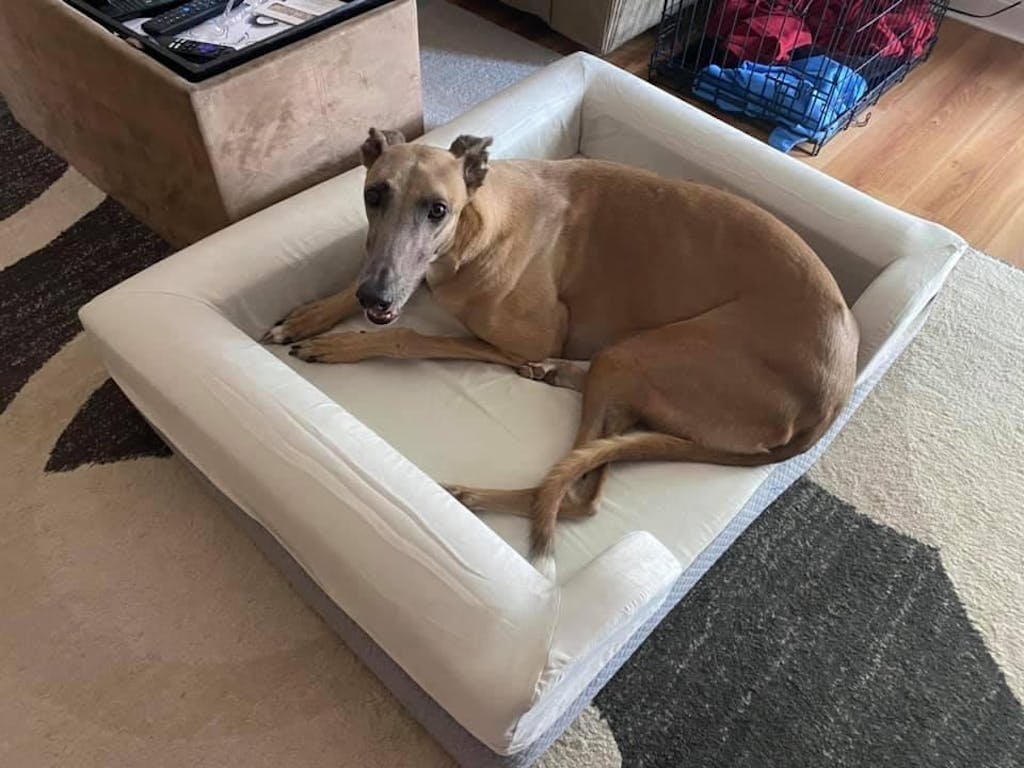 Official Puffy® Dog Bed Luxury Rest for Your Furry Friend