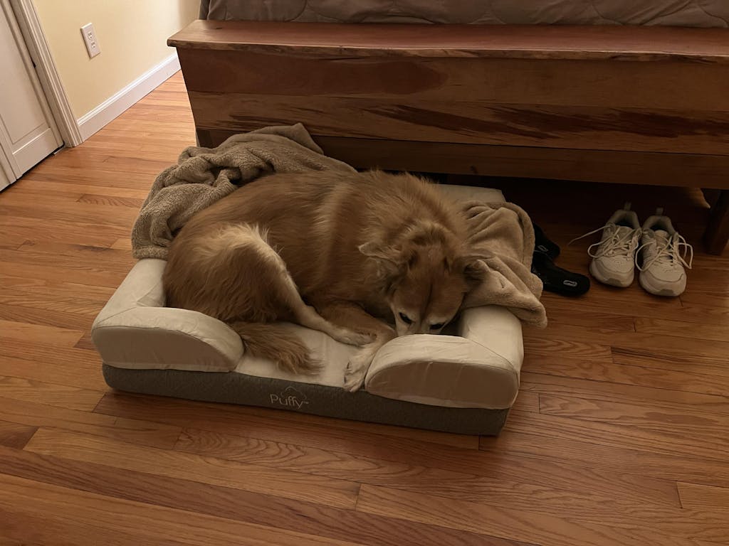 Official Puffy® Dog Bed Luxury Rest for Your Furry Friend