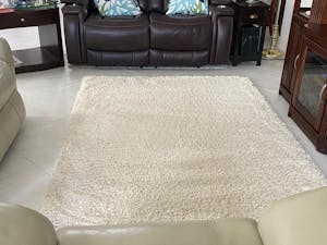 BELLEZE Parma Luxury Ultra Soft Fluffy Area Rug Modern Indoor