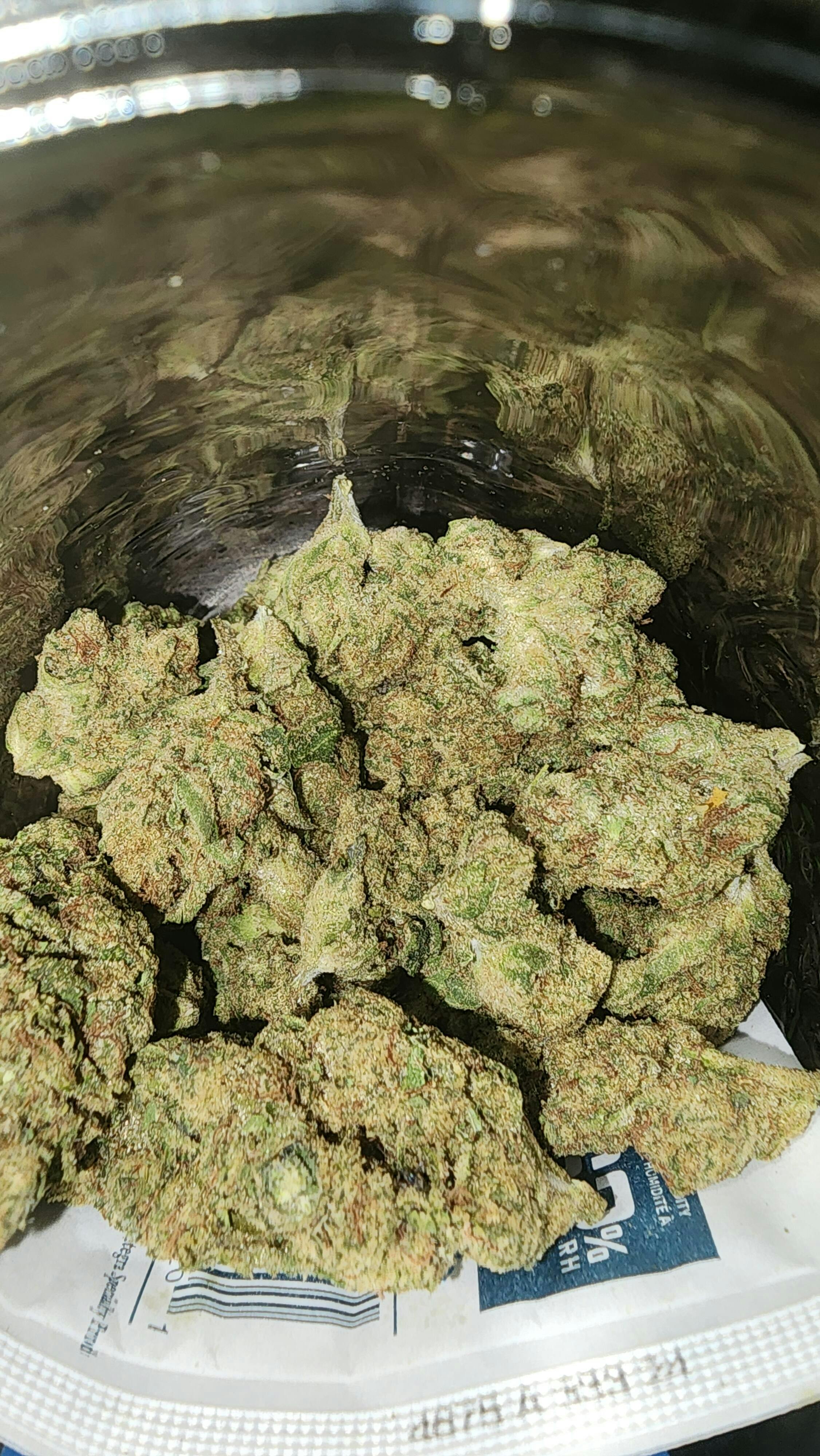 バクバクファクトリーページ　Tangie THC-A Flower - Tangie (Indoor) (Sativa Hybrid) – Puffy THCa