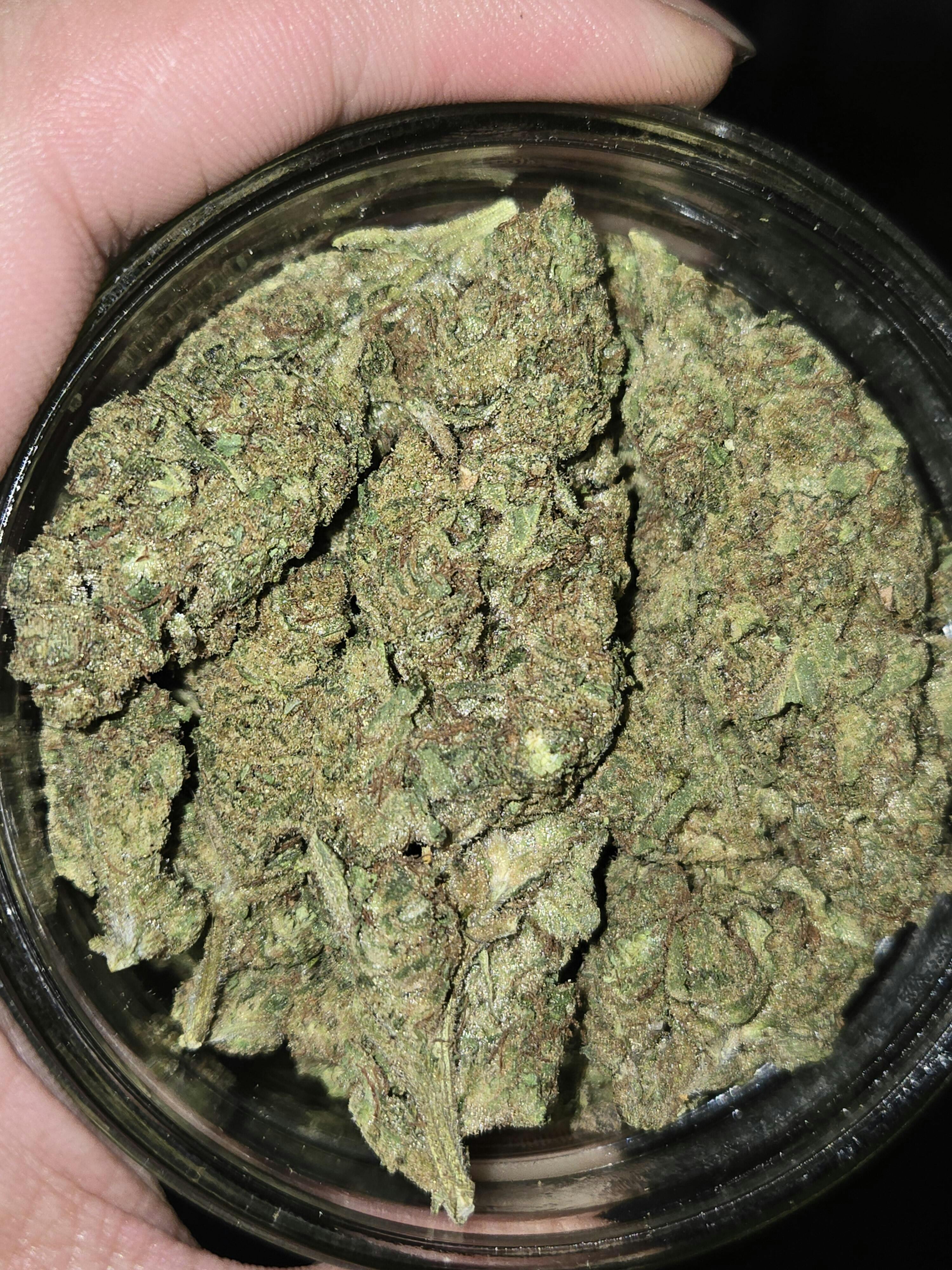 THC-A Flower - Tangie (Indoor) (Sativa Hybrid) – Puffy THCa