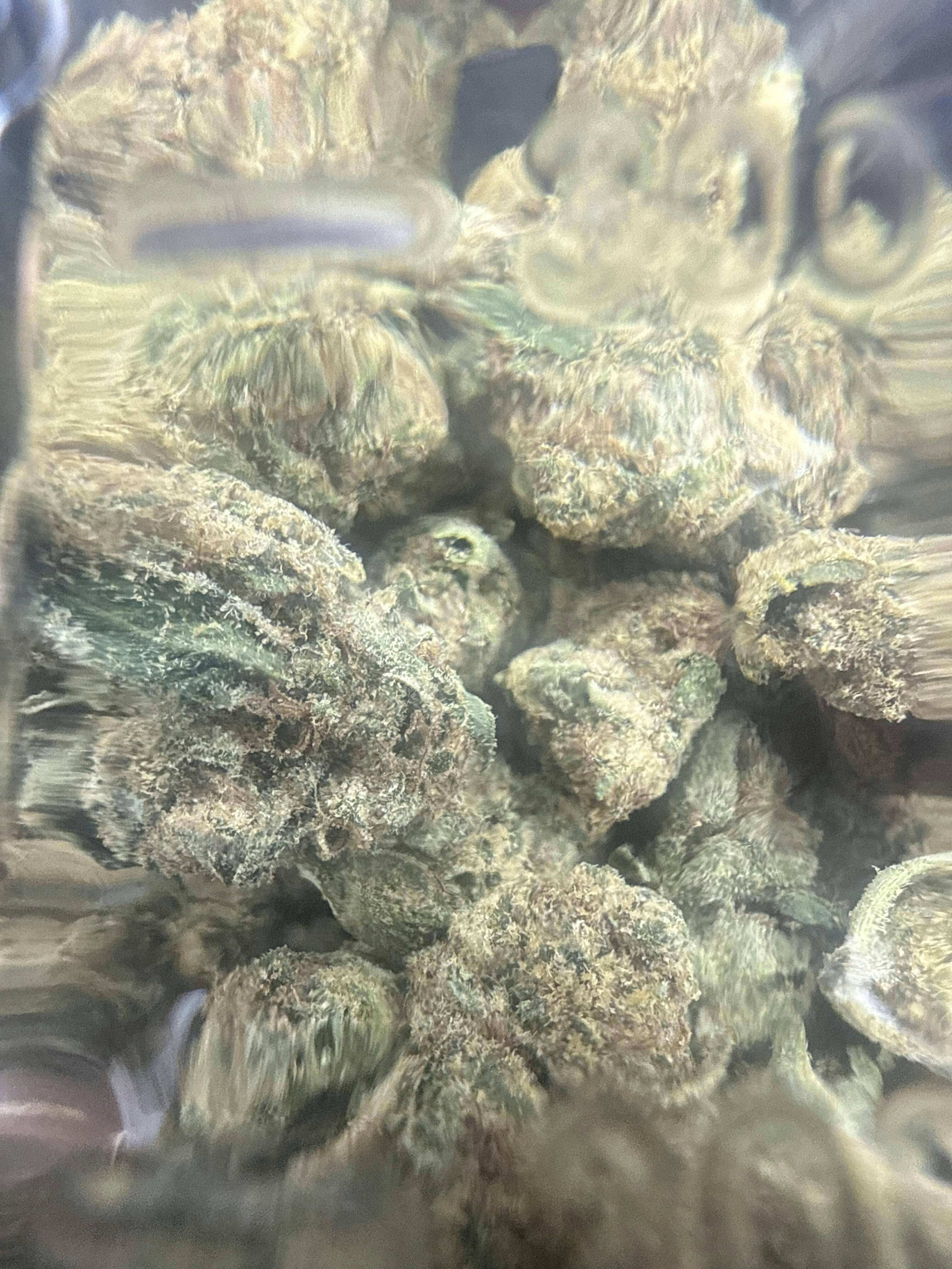 バクバクファクトリーページ　Tangie THC-A Flower - Tangie (Indoor) (Sativa Hybrid) – Puffy THCa