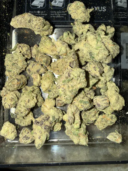 Biscotti X Jealousy THCa Flower (Indoor) (Hybrid) | PUFFY