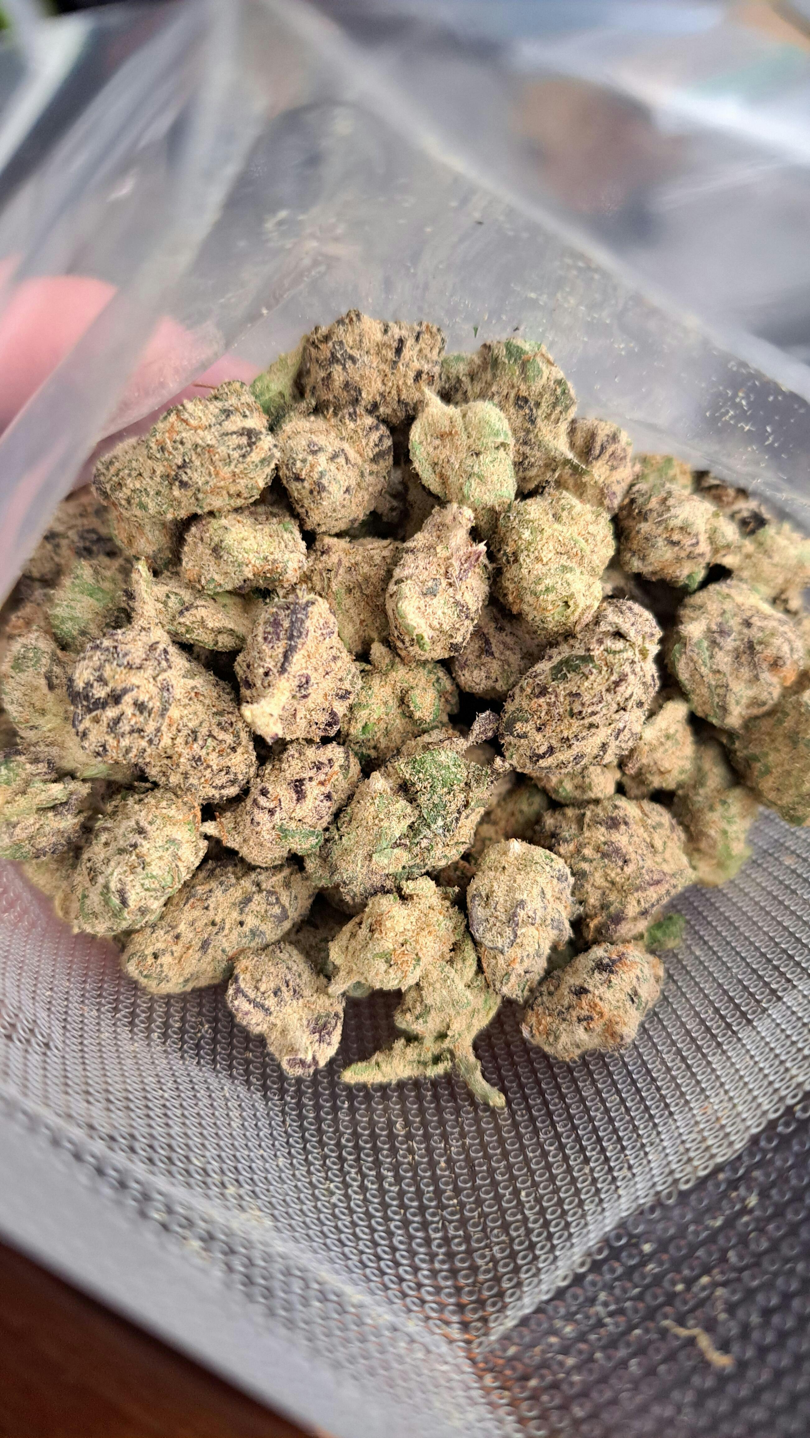 Biscotti X Jealousy THCa Flower (Indoor) (Hybrid) | PUFFY