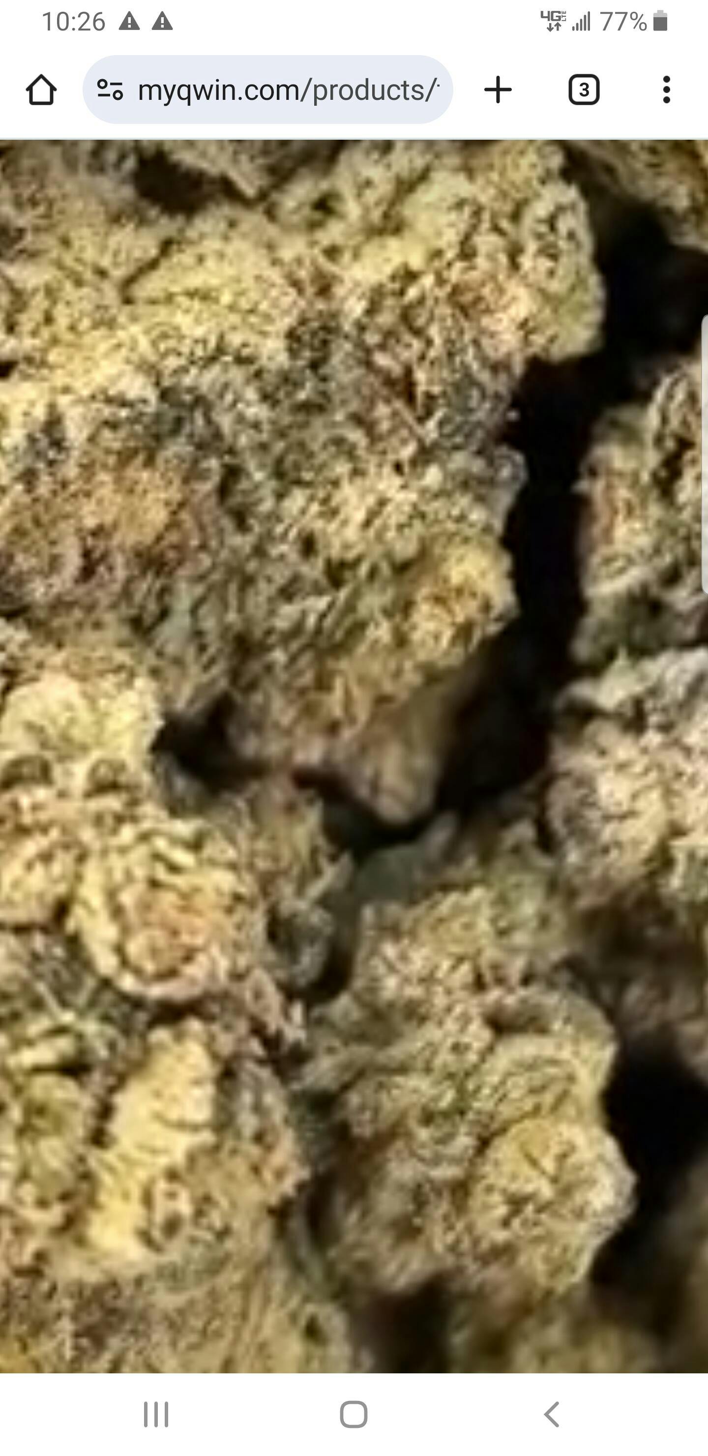 LA Pop Rocks THCa Flower (Exotic) (Indica Hybrid) | PUFFY
