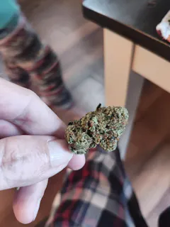 Review picture