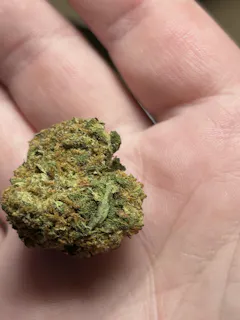 Review picture