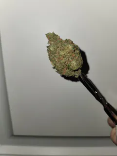 Review picture