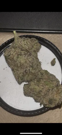 Review picture