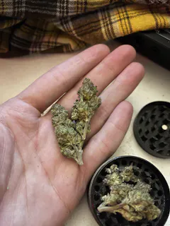 Review picture