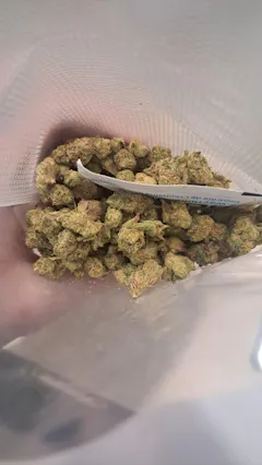 Review picture