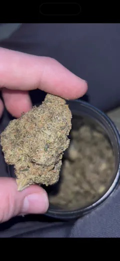 Review picture