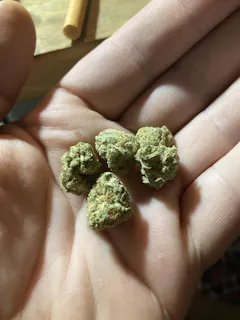 Review picture