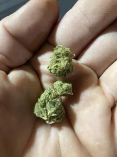 Review picture