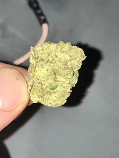 Review picture