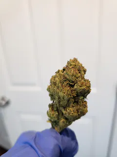 Review picture