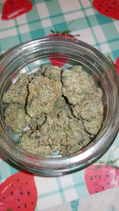 Review picture
