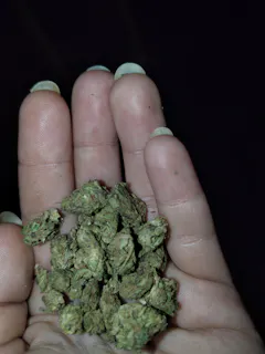 Review picture