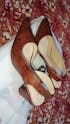 Crocodile Half d'Orsay Slingback Pump PIU_135